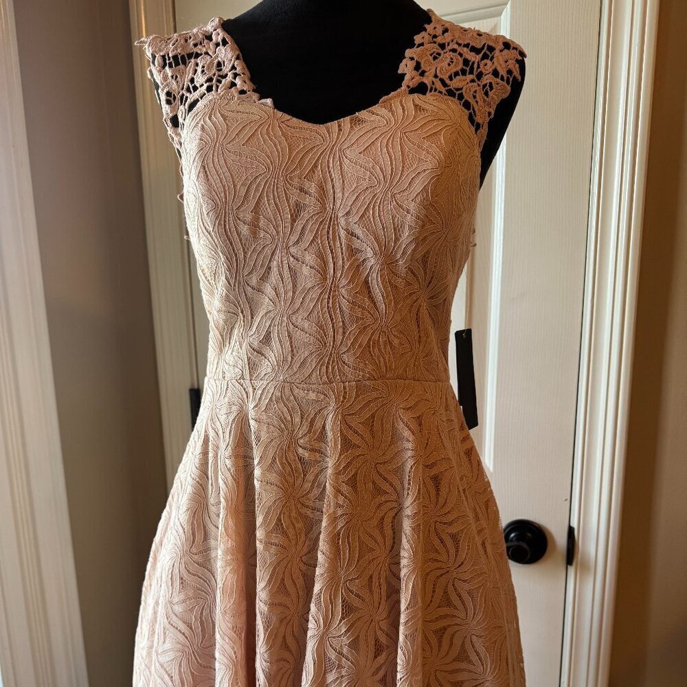 Jodi Kristopher Pink Lace Dress